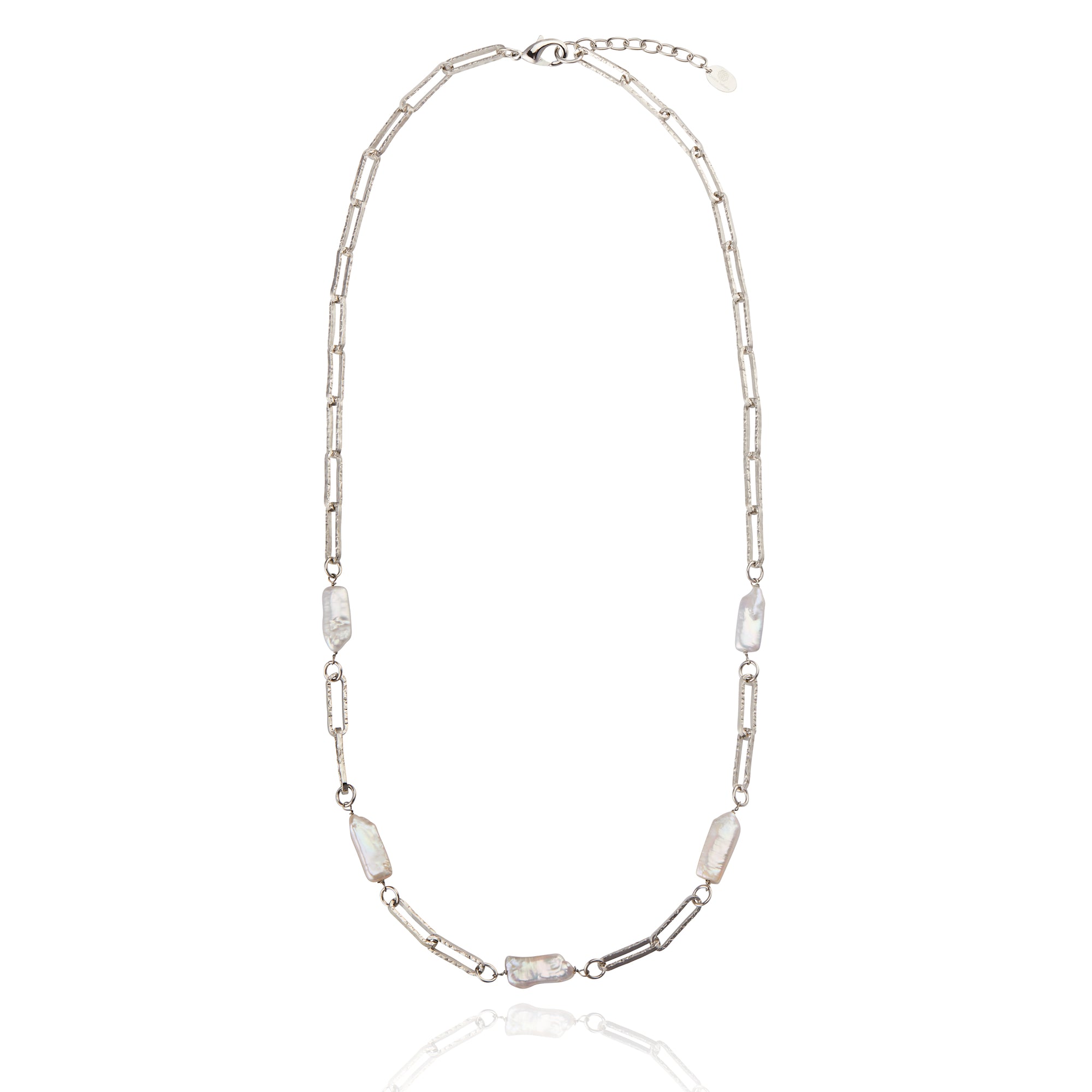 Caterina Long Necklace Silver